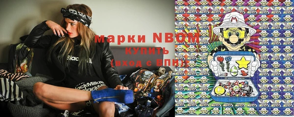 мяу мяу мука Гусь-Хрустальный
