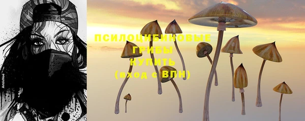 mix Гусев