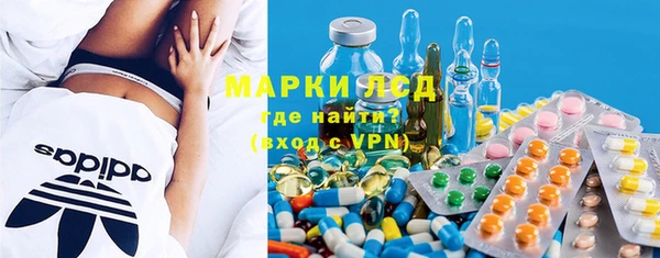 сатива Гусиноозёрск